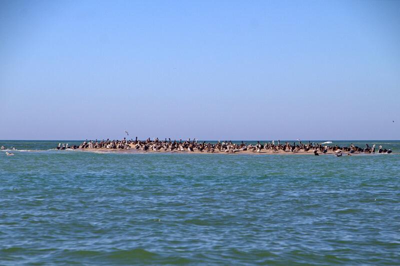 Bootsausflug nach Cabbage Key