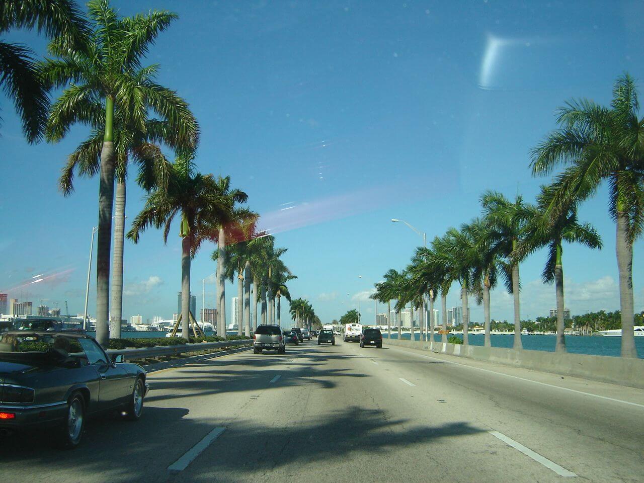 Skyline Hafen Cape Coral